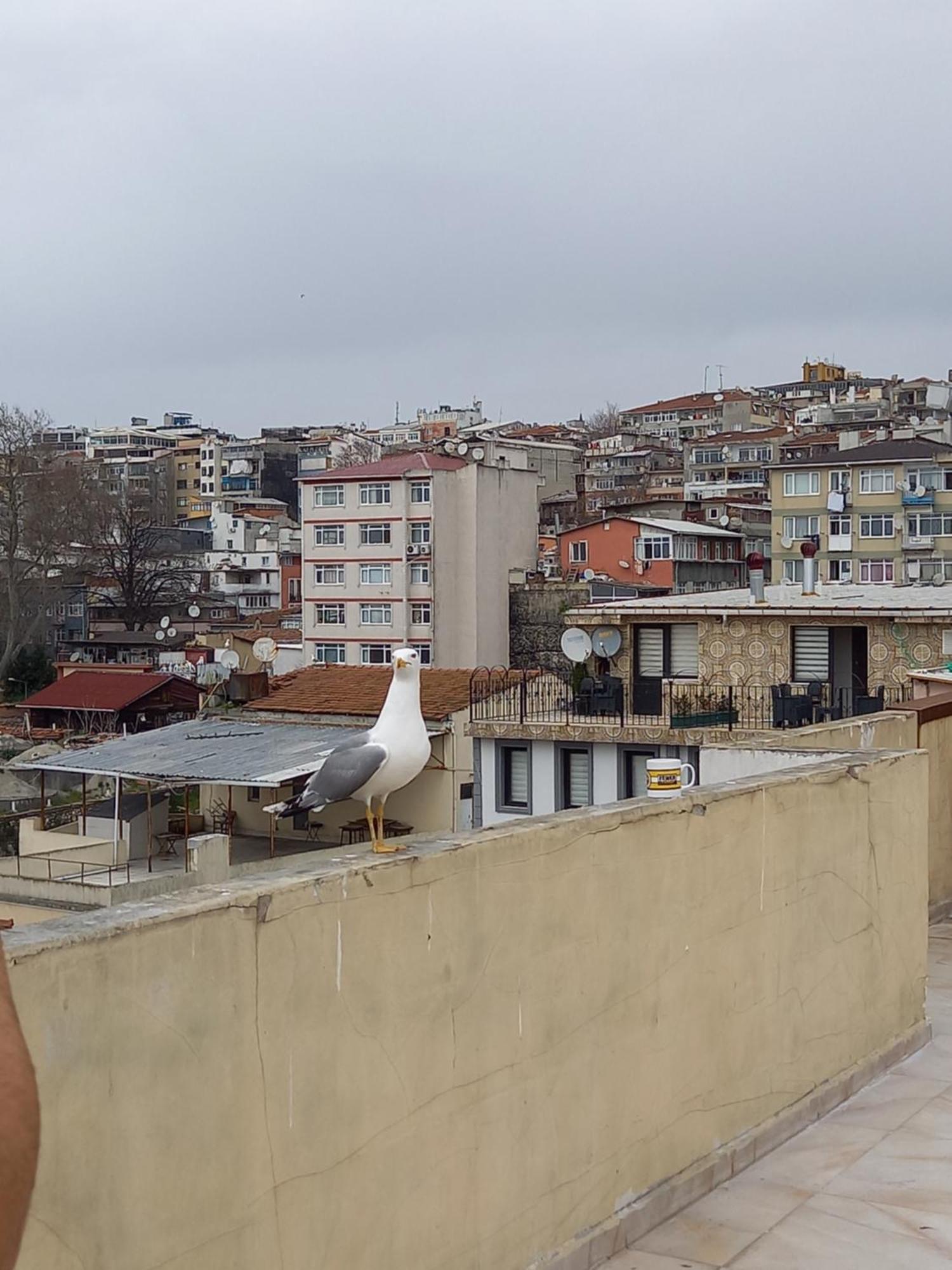 Avsin Residence Κωνσταντινούπολη Εξωτερικό φωτογραφία